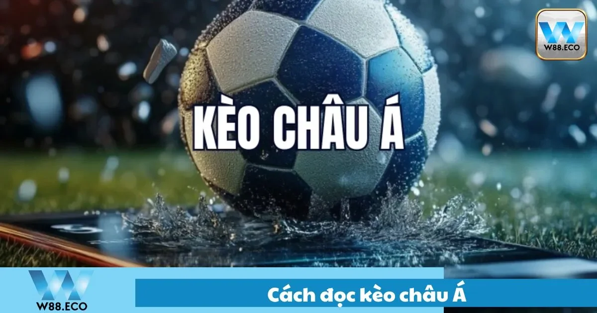 Hướng Dẫn Cách Đọc Kèo Châu Á Tại W88 Dễ Hiểu, Dễ Thắng 2 Nhận biết kèo đồng banh, kèo nửa trái và kèo một trái